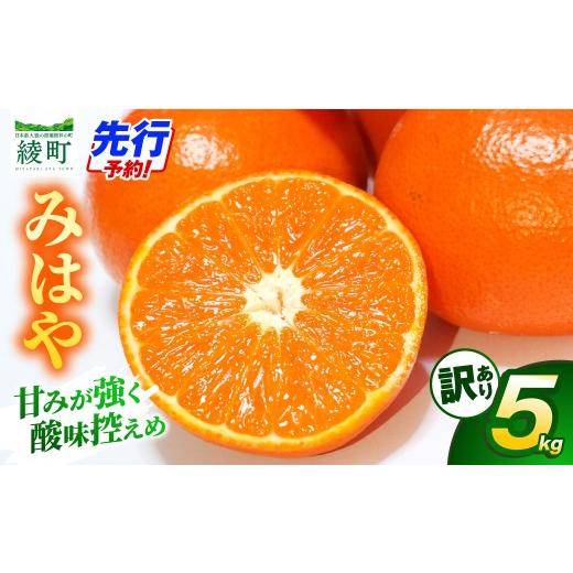 ふるさと納税 みかん・柑橘類 宮崎県 綾町 先行受付 訳あり みはや 5kg 果物 フルーツ くだもの 柑橘 みかん 蜜柑 新品種 おすすめ ワケアリ 不揃い 傷 B級…