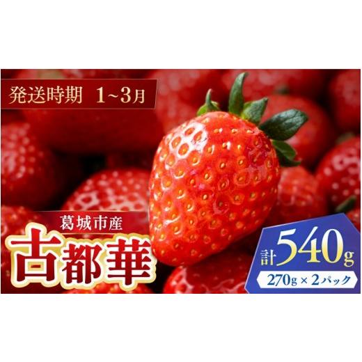 ふるさと納税 いちご 奈良県 葛城市 古都華 葛城市産 2パック 270g×2 1~3月順次発送 いちご 苺 イチゴ ことか ブランドいちご 奈良県産 高糖度 甘い 濃厚 香…