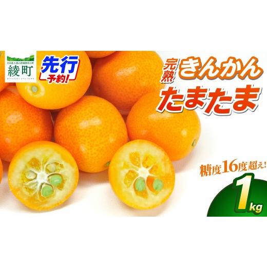 ふるさと納税 みかん・柑橘類 宮崎県 綾町 先行予約 完熟きんかん「たまたま」1kg 果物 フルーツ くだもの 柑橘 金柑 おすすめ ブランド ギフト 贈り物 贈答 …
