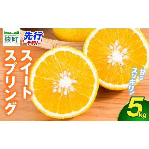 ふるさと納税 みかん・柑橘類 宮崎県 綾町 先行予約 希少柑橘「スイートスプリング」5kg 化粧箱 果物 フルーツ くだもの 柑橘 オレンジ みかんジュース おす…