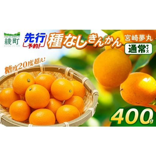 ふるさと納税 みかん・柑橘類 宮崎県 綾町 先行予約 種なし きんかん「宮崎夢丸」 400g 数量限定 種無し 果物 フルーツ くだもの 柑橘 金柑 プレミア おすす…