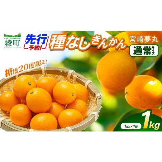 ふるさと納税 みかん・柑橘類 宮崎県 綾町 先行予約 種なし きんかん「宮崎夢丸」 1kg 数量限定 種無し 果物 フルーツ くだもの 柑橘 金柑 プレミア おすすめ…