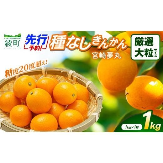 ふるさと納税 みかん・柑橘類 宮崎県 綾町 先行予約 種なし きんかん「宮崎夢丸」(厳選大粒)1kg 数量限定 大粒 種無し 果物 フルーツ くだもの 柑橘 金柑 …