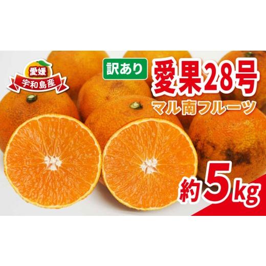ふるさと納税 果物類 みかん 愛媛県 宇和島市 訳あり 愛果28号 ( 紅まどんな と同品種) 5kg マル南フルーツ 不揃い 先行予約 柑橘 みかん 愛媛みかん 愛媛ミカ…