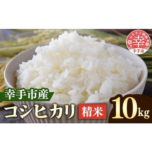 ふるさと納税 米 コシヒカリ 埼玉県 幸手市 令和7年産 埼玉県幸手市権現堂産お米 精米 10kg コシヒカリ- こしひかり 2025年度産 精米 10KG 桜の名所 埼玉県 幸…