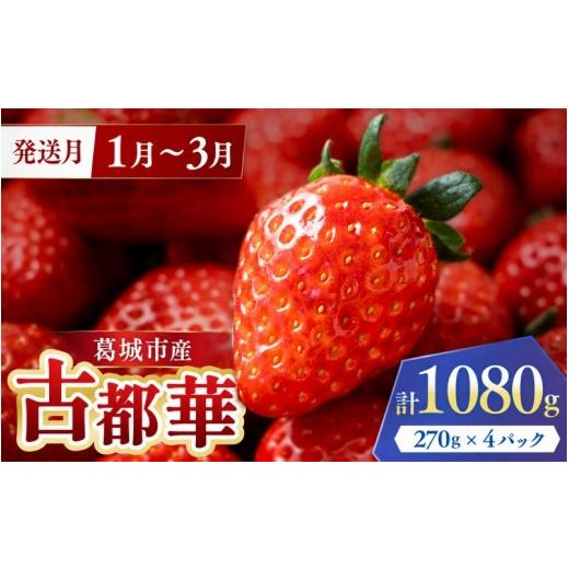 ふるさと納税 いちご 奈良県 葛城市 古都華 葛城市産 4パック 270g×4 1月~3月順次発送 いちご 苺 イチゴ ことか ブランドいちご 奈良県産 高糖度 甘い 濃厚 …