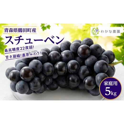 ふるさと納税 果物類 ぶどう 青森県 鶴田町 園主厳選・ご家庭用 奇跡のぶどう スチューベン 5kg 最高糖度22度超 わかな農園