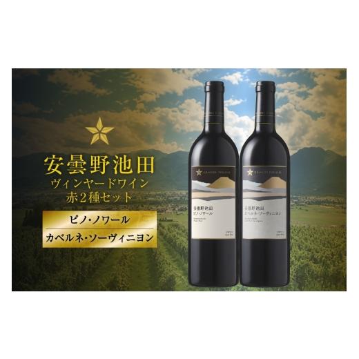 ふるさと納税 ワイン セット 長野県 池田町 赤ワイン セット サッポログランポレール 安曇野池田ヴィンヤードワイン 赤2種セット 750ml 計2本 ナチュラルマル…