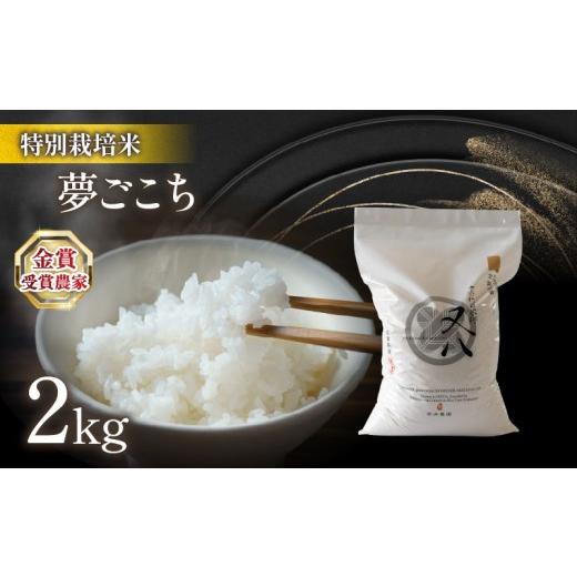 ふるさと納税 米 滋賀県 竜王町 新米 令和8年 新米 夢ごこち 2kg ビニール包装 ( 令和8年産 金賞受賞農家 2026年産 ブランド 米 五キロ 米 おすすめ お米 白…