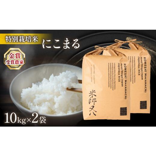 ふるさと納税 米 にこまる 滋賀県 竜王町 新米 にこまる 10kg × 2袋 ( 令和8年産 20kg 2026年産 ブランド 米 精米 白米 内祝い 十六代目米師又八 謹製 もちも…