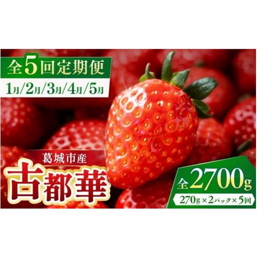 ふるさと納税 いちご 奈良県 葛城市 全5回定期便 葛城市産 古都華 270g×2パックを5か月連続お届け 1月〜5月発送 / いちご 苺 イチゴ ことか ブランドいちご…