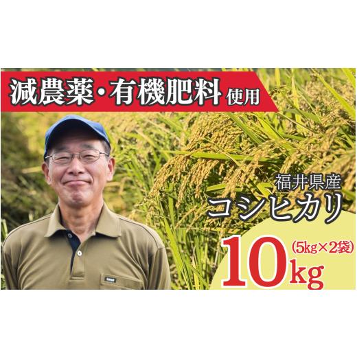 ふるさと納税 米 コシヒカリ 福井県 勝山市 先行予約 2026年産 新米 コシヒカリ 白米10kg(精米) 2026年10月上旬以降順次発送予定