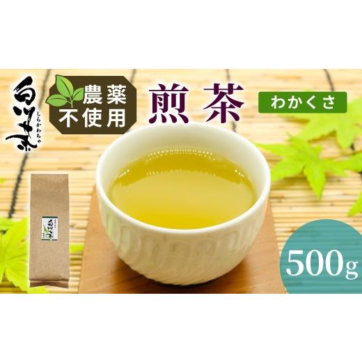 ふるさと納税 お茶類 緑茶(茶葉・ティーバッグ) 岐阜県 東白川村 農薬不使用 煎茶 わかくさ 500g 常磐園 日本茶 白川茶 美濃白川茶 緑茶 煎茶 茶葉 お茶 二…