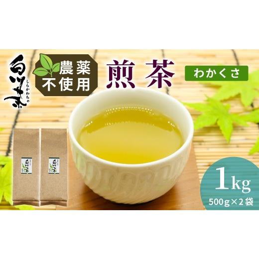 ふるさと納税 お茶類 緑茶(茶葉・ティーバッグ) 岐阜県 東白川村 [農薬不使用]煎茶 わかくさ 1kg (500g×2袋) 常磐園 日本茶 白川茶 美濃白川茶 緑茶 煎茶…