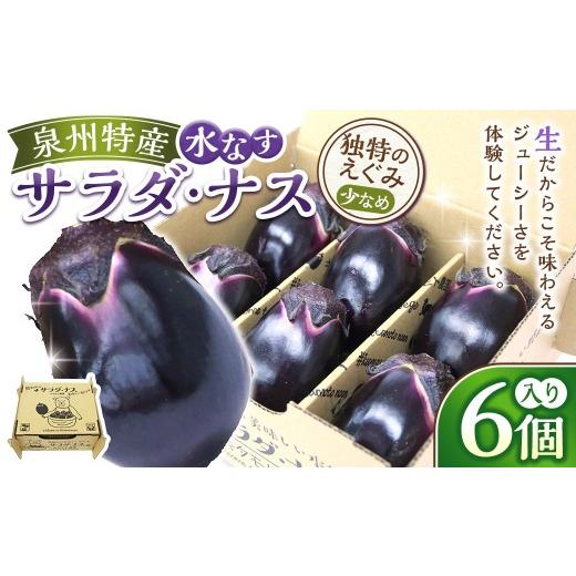 ふるさと納税 野菜類 茄子 大阪府 熊取町 泉州特産水なす サラダ ・ ナス 6個入り 水茄子 水なす 水ナス なす 茄子 野菜 やさい 万能野菜 生食 安心安全 国産 …