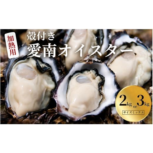 ふるさと納税 牡蠣 生牡蠣 愛媛県 新居浜市 愛南 オイスター 3kg 24000円 牡蠣 加熱用 殻付き 三倍体 真牡蠣 ブランド 特産品 お取り寄せ グルメ 大粒 濃厚 ク…
