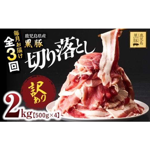 ふるさと納税 豚肉 炒め物 鹿児島県 鹿屋市 全3回定期便 訳あり 鹿児島県産黒豚 切り落とし 2kg(500g×4パック) KN054-T17