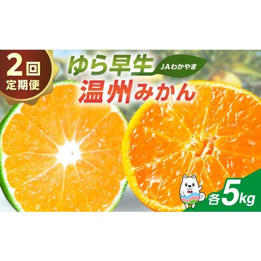 ふるさと納税 果物類 みかん 和歌山県 御坊市 2回定期便 JAわかやま 紀州のゆら早生・温州みかん
