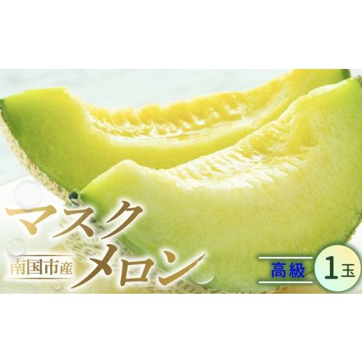 ふるさと納税 メロン メロン青肉 高知県 南国市 先行予約 高級マスクメロン 1玉 | マスクメロン 1個 フルーツ 果物 厳選 高級 青肉メロン 人気 デザート ギフ…