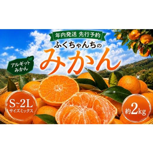 ふるさと納税 果物類 みかん 山口県 平生町 先行予約 年内発送 ふくちゃんちのみかん サイズミックス 約 2kg 令和8年 12月初旬 〜 順次発送 | みかん ミカン…