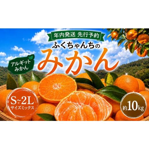 ふるさと納税 果物類 みかん 山口県 平生町 先行予約 年内発送 ふくちゃんちのみかん サイズミックス 約 10kg 令和8年 12月初旬 〜 順次発送 | みかん ミカ…