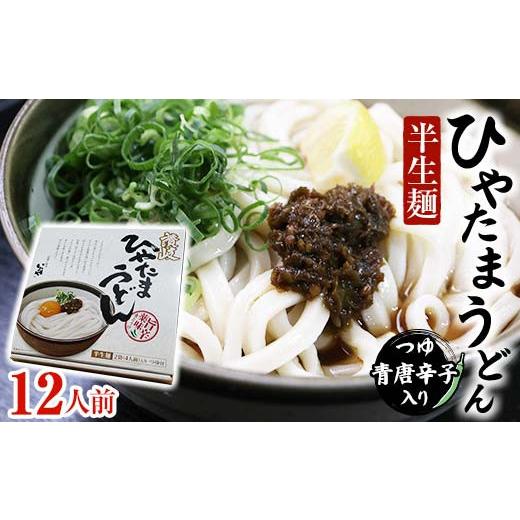 ふるさと納税 うどん 生・半生めん 香川県 琴平町 セット 半生うどん (つゆ・青唐辛子入り) 3箱 うどん 麺 麺類 加工品 食品 F5J-175