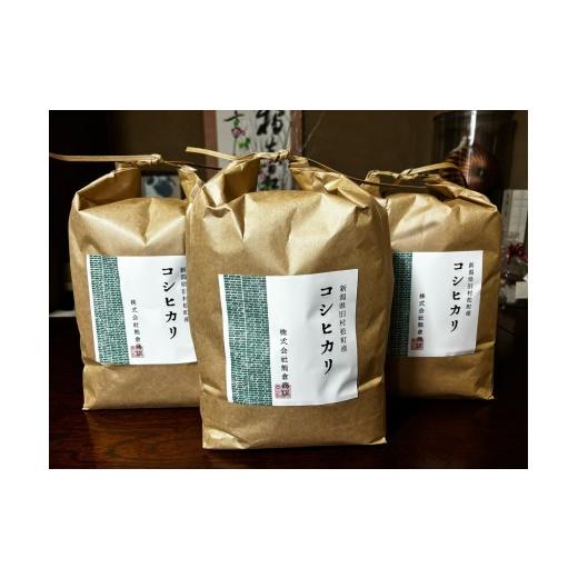 ふるさと納税 米 コシヒカリ 新潟県 五泉市 先行予約 令和8年産 コシヒカリ 旧村松町産 15kg(5kg×3袋) | 新潟産コシヒカリ 新潟県産コシヒカリ 新潟県産こし…