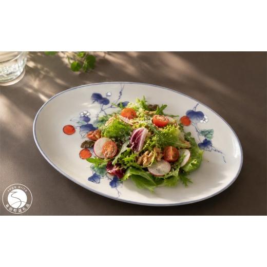 ふるさと納税 食器・グラス 皿 佐賀県 有田町 有田焼 華山窯 染錦トマト 楕円トレー 皿 2枚セット 東洋セラミックス 食器 器 うつわ プレート お皿 楕円皿 青 …