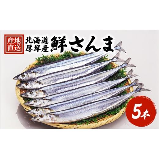 ふるさと納税 魚貝類 さんま 北海道 厚岸町 先行予約 産地直送 鮮度抜群 北海道 厚岸産 刺身用 鮮さんま 5本 サンマ 秋刀魚 さんま 鮮魚 魚介類 海産 生さんま