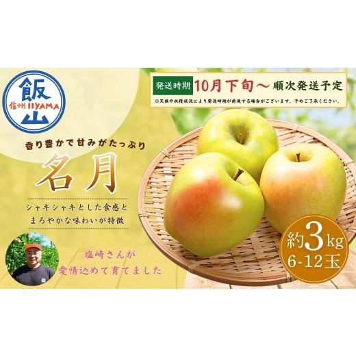 ふるさと納税 りんご 長野県 飯山市 先行予約│2026年10月下旬より順次発送 名月(めいげつ) 約3kg(6〜12玉) │長野県 飯山市 おすすめ ランキング 大好評 …