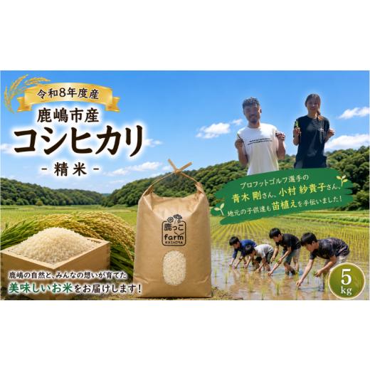 ふるさと納税 米 コシヒカリ 茨城県 鹿嶋市 こしひかり 5kg 先行予約 新米 単一原料米 令和8年度 米 白米 こめ 精米 国産 産地直送 おすすめ お米 kosihikari …