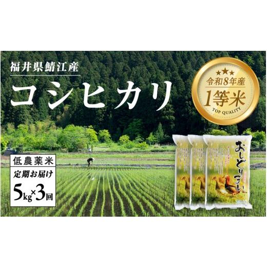 ふるさと納税 米 コシヒカリ 福井県 鯖江市 令和8年産新米 先行予約 2026年10月上旬以降順次発送予定 3ヶ月連続お届け 福井県産 おしどり米 コシヒカリ定期便…