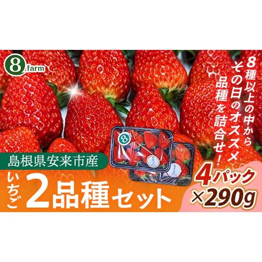 ふるさと納税 いちご 島根県 安来市 先行予約 イチゴ2品種 4パックセット 約290g×4パック 約1160g 食べ比べ いちご 苺 ストロベリー 冷蔵 安来市産 16-FA-05…