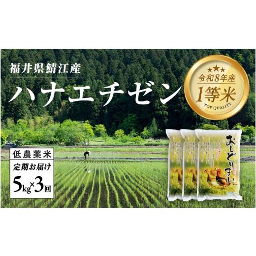 ふるさと納税 米 福井県 鯖江市 令和8年産新米 先行予約 3ヶ月連続お届け 福井県産 内農米ハナエチゼン 10kg [C-00516] / ハナエチゼン 減農薬米 白米 精…