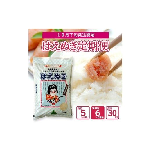 ふるさと納税 米 はえぬき 山形県 酒田市 10月下旬発送開始/ 6回定期便 令和8年産 [精米]はえぬき 5kg×6回(計30kg) JS SG0171 令和8年10月下旬発送開始