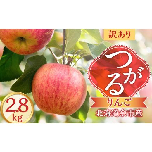 ふるさと納税 りんご 北海道 余市町 先行予約2026年9月下旬より発送 訳アリ りんご(つがる)2.8kg 北海道余市町産 訳あり 不揃い りんご つがる 甘口 ジュ…