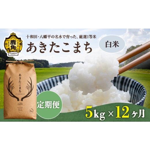 ふるさと納税 米 あきたこまち 秋田県 鹿角市 [ 先行予約 ] 定期便 令和8年産 あきたこまち 白米 5kg × 12ヶ月 合計 60kg トライズ ●2026年10月下旬発送開…