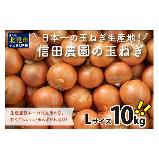 ふるさと納税 野菜類 玉ねぎ 北海道 北見市 2026年10月中お届け 日本一の玉ねぎ生産地 信田農園の玉ねぎ 10kg Lサイズ ( 信田農園 野菜 玉ねぎ 玉葱 たまねぎ…
