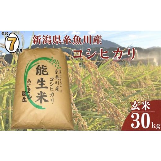 ふるさと納税 玄米 新潟県 糸魚川市 7日以内でスピード発送 令和7年産 新潟県糸魚川産コシヒカリ 玄米30kg 2025年産 精米サービス可能 農家直送 あぐ里能生 …