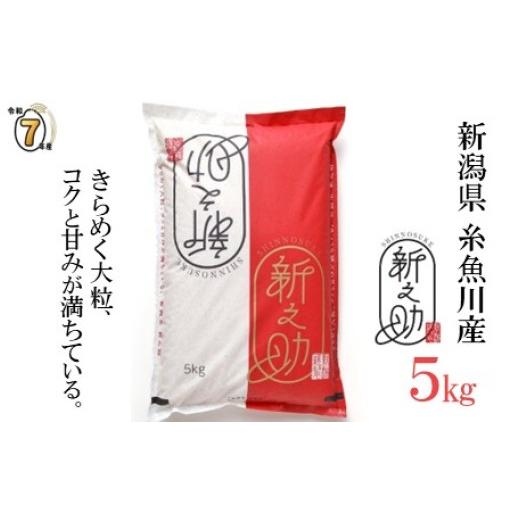 ふるさと納税 米 新潟県 糸魚川市 7日以内でスピード発送 令和7年産 『新之助』5kg 新潟県糸魚川産 農家直送 2025年産 あぐ里能生 しんのすけ 新潟県 糸魚川…