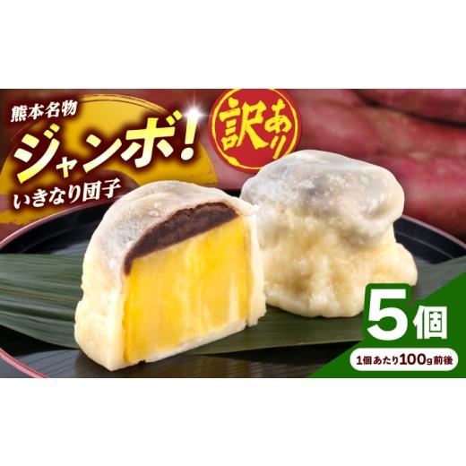 ふるさと納税 和菓子 だんご 熊本県 合志市 先行予約 2026年10月より順次発送 訳あり 弁天堂 ジャンボ いきなり団子 約100g×5個入り 株式会社弁天堂 AYDG007…