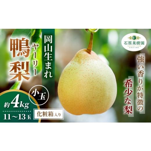 ふるさと納税 梨 岡山県 真庭市 梨 ヤーリー梨 鴨梨 先行予約 小玉11〜13玉 4kg 化粧贈答箱 赤秀 岡山県産 | ヤーリー梨 鴨梨 梨 特選品 上級品 贈り物 御歳暮…