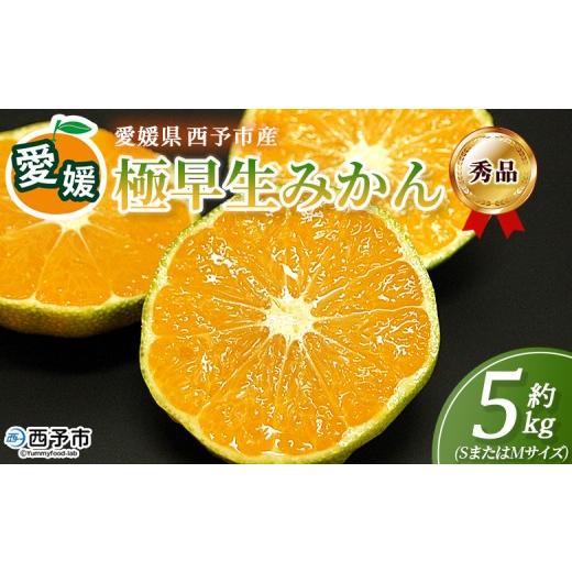 ふるさと納税 果物類 みかん 愛媛県 西予市 愛媛産 秀品 極早生みかん(SまたはMサイズ)約5kg 『2026年9月下旬から順次出荷予定』蜜柑 ミカン みかん 温州み…