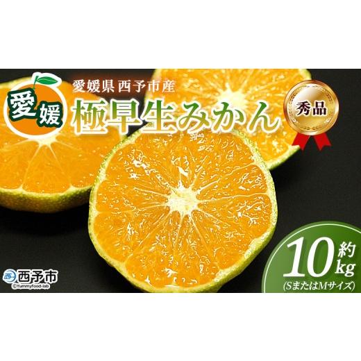 ふるさと納税 果物類 みかん 愛媛県 西予市 愛媛産 秀品 極早生みかん(SまたはMサイズ)約10kg 『2026年9月下旬から順次出荷予定』蜜柑 ミカン みかん 温州…