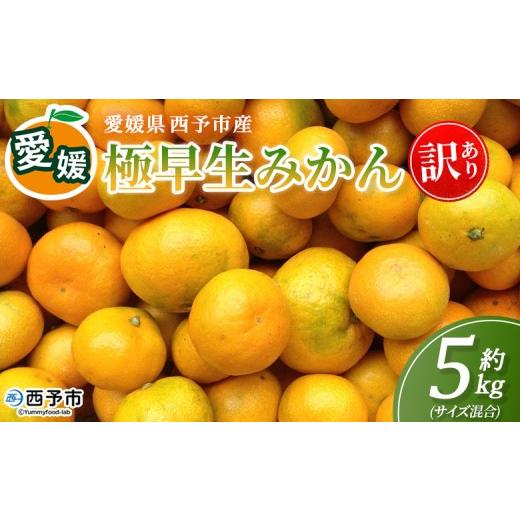 ふるさと納税 果物類 みかん 愛媛県 西予市 愛媛産 訳あり 極早生みかん(サイズ混合)約5kg 『2026年9月下旬から順次出荷予定』蜜柑 ミカン みかん 訳アリ …