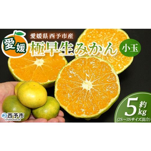 ふるさと納税 果物類 みかん 愛媛県 西予市 愛媛産 小玉 極早生みかん(2S〜3Sサイズ混合)約5kg 『2026年9月下旬から順次出荷予定』蜜柑 ミカン みかん 温州…