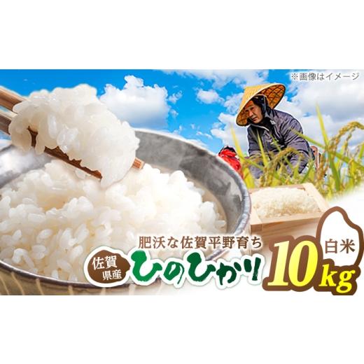 ふるさと納税 米 ヒノヒカリ 佐賀県 白石町 ヒノヒカリ 白米 10kg 片渕農園