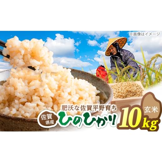 ふるさと納税 米 ヒノヒカリ 佐賀県 白石町 ヒノヒカリ 玄米 10kg 片渕農園