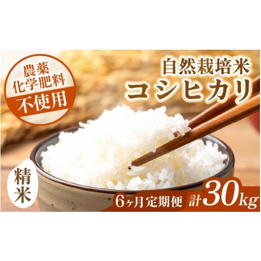 ふるさと納税 米 コシヒカリ 福井県 あわら市 先行予約 令和8年産 <定期便> 6ヶ月連続お届け コシヒカリ 精米 5kg×6回 (計30kg) 化学肥料 農薬不使…