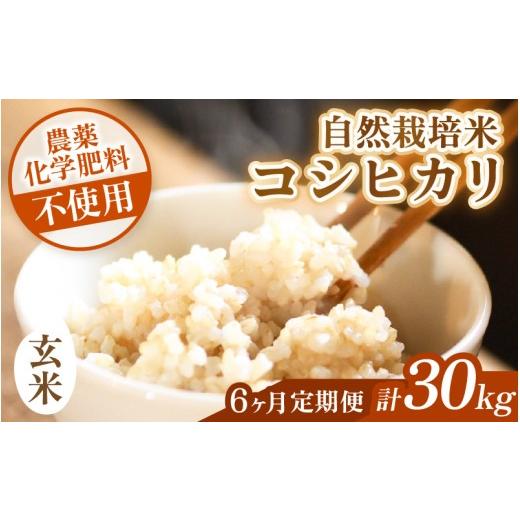 ふるさと納税 玄米 福井県 あわら市 先行予約 令和8年産 <定期便> 6ヶ月連続お届け コシヒカリ 玄米 5kg×6回 (計30kg)化学肥料 農薬不使用 自然栽培…